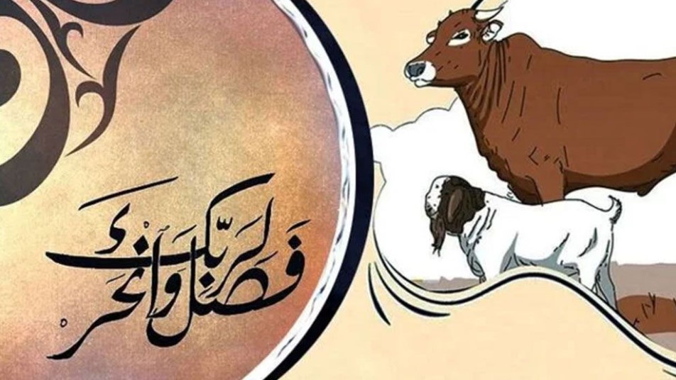কেমন পশু কিনলে কুরবানি শুদ্ধ হবে না? শরিয়তের কড়া নির্দেশনা দেখে নিন