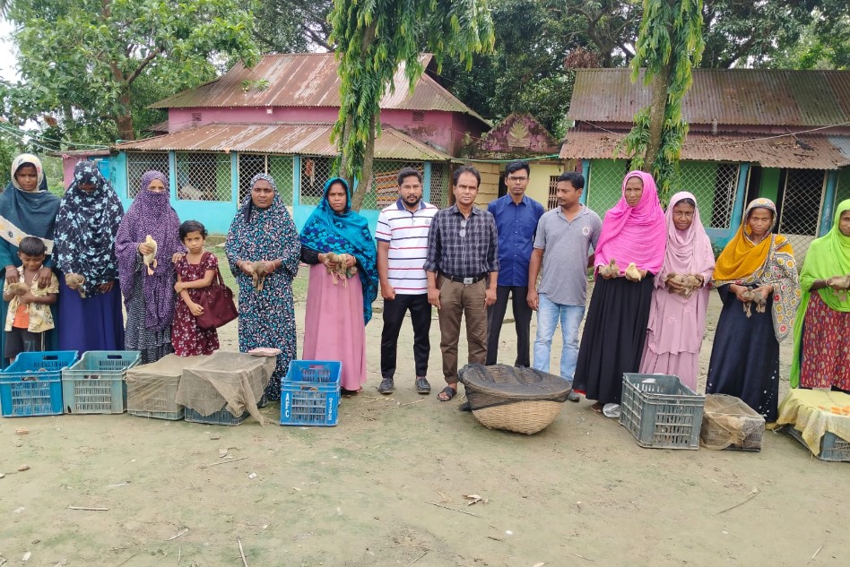 ব্র্যাকের উদ্যোগে বন্যায় ক্ষতিগ্রস্ত ৫০ পরিবারের মাঝে ১ হাজার হাঁসের বাচ্চা বিতরণ