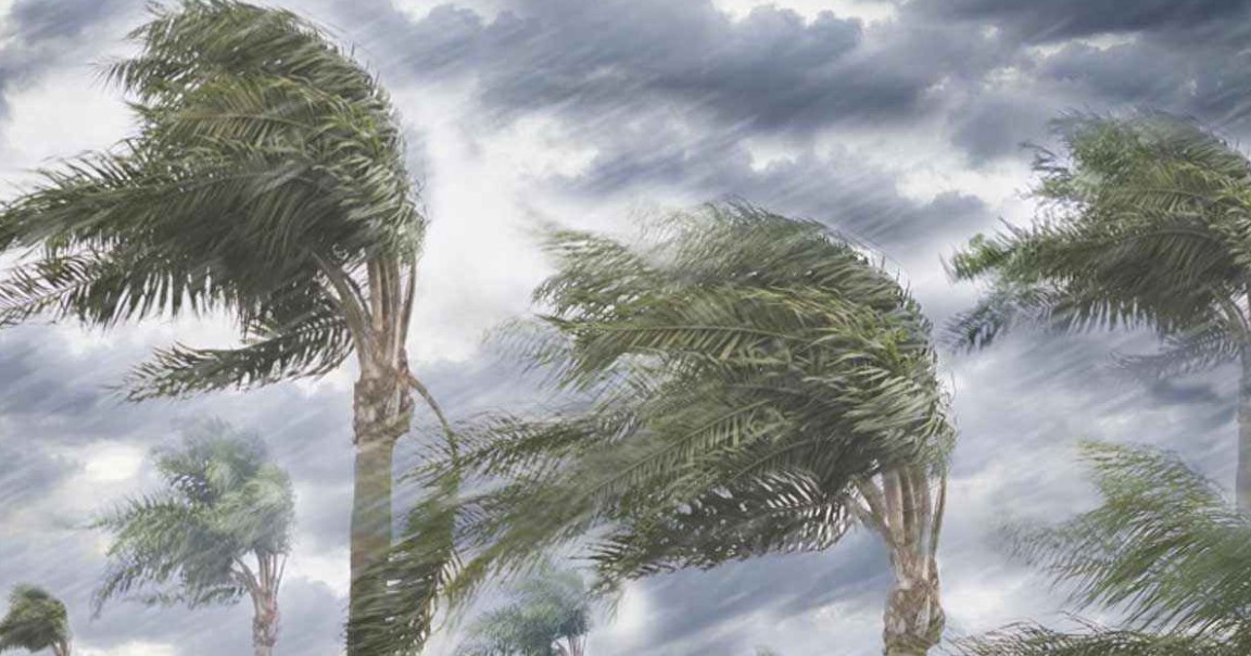 আগামী ৪৮ ঘণ্টার আবহাওয়ার চিত্র: ঝোড়ো বৃষ্টি নিয়ে সতর্কবার্তা