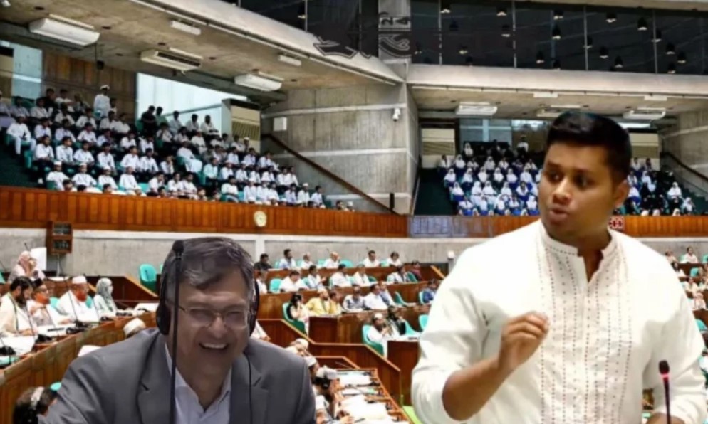 এটা প্রশ্ন না পল্টনের বক্তৃতা: সংসদে হাসনাত আবদুল্লাহকে স্বরাষ্ট্রমন্ত্রী