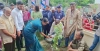 টাঙ্গাইলে ৫ লাখ গাছ রোপণের বিশাল কর্মসূচি শুরু