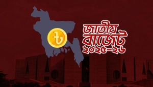 ২০২৫-২৬ বাজেটে স্বস্তির ছোঁয়া: কমতে পারে যেসব পণ্যের দাম!
