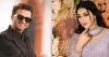 ‘তাণ্ডব’ সিনেমার সাফল্যের পর কি শাকিব-অপু আবারও এক হচ্ছেন?