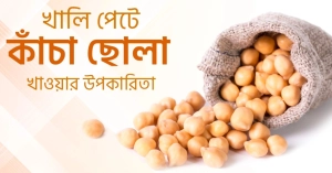 প্রোটিন থেকে ত্বক উজ্জ্বলতা: এক মুঠো ছোলার আশ্চর্য গুণাগুণ