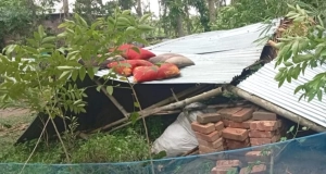 ঝড় নয়, যেন দুঃস্বপ্ন—সালথায় হঠাৎ তাণ্ডবে বসতভিটা নিশ্চিহ্ন