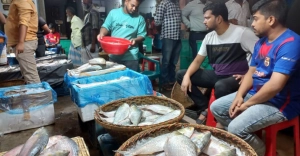ইলিশের বাজারে উত্তাপ, চাঁদপুরে প্রশাসনের সিদ্ধান্ত মানবে না ব্যবসায়ীরা