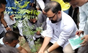 গাছ লাগানোর কর্মসূচি—নতুন বার্তা দিল বিএনপি নেতা