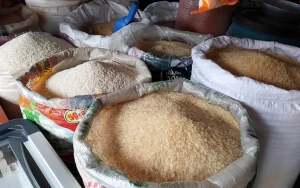 ধান আছে, তবু চালের দাম চড়া—চট্টগ্রামে ভোক্তার কষ্টের গল্প