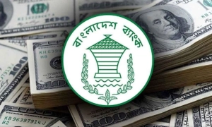 বিপিএম-৬ অনুযায়ী রিজার্ভ ২৬.৬৬ বিলিয়ন ডলার, ব্যয়যোগ্য কত?