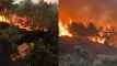 লাতাকিয়ায় ছড়িয়ে পড়েছে ভয়াবহ আগুন, উদ্ধার কাজে বাধা মাইন