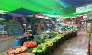 টানা বৃষ্টিতে বাজারে পণ্যের সরবরাহ কম, কাঁচা মরিচ-বেগুন ও মাছের দাম বেড়েছে