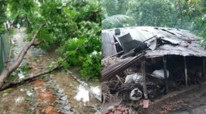বিদ্যুৎহীন বাগেরহাট: ঝড়ে উপড়ে পড়েছে শত গাছ