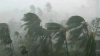 দেশজুড়ে বৃষ্টির পূর্বাভাস, কিছু এলাকায় ভারি বর্ষণও হতে পারে