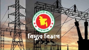৮ মাসেও নেই সমাধান: পল্লী বিদ্যুৎ সংকটে ক্ষোভে ফুঁসছে মাঠপর্যায়