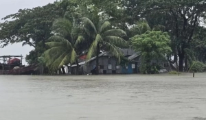 উপকূলজুড়ে নিম্নচাপের তাণ্ডব, প্লাবিত ১৬ জেলা