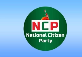 উপদেষ্টাদের বাড়ি হয়েছে, ছাত্রদের কিছুই হয়নি: নাসীরুদ্দিন পাটওয়ারী