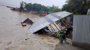 জাজিরায় পদ্মার ভয়াবহ তাণ্ডব, মুহূর্তেই হারাচ্ছে সবকিছু