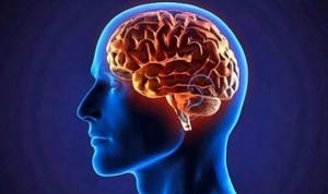 প্রতিদিন কর্মদক্ষতা বাড়ানোর ৭ সহজ টিপস