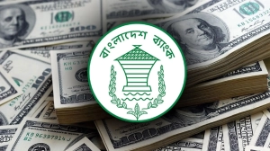 রিজার্ভে ব্যবধান: স্থানীয় গণনা বনাম আন্তর্জাতিক মান