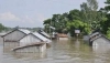 হঠাৎ বন্যায় শিবগঞ্জে পানিবন্দি ১১ হাজারের বেশি পরিবার