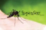 রহস্যময় চিকুনগুনিয়া: হঠাৎ জ্বর-ব্যথায় কাঁপছে দেশ