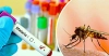 ম্যালেরিয়া: কারণ, লক্ষণ, ঝুঁকি, প্রতিরোধ ও চিকিৎসা