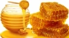 মধু খাঁটি না ভেজাল? আগুন দেওয়া বা পানিতে মেশানো নয়, যা বলছেন গবেষকরা