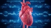 হার্ট অ্যাটাকের ঝুঁকি: বাড়িতে বসেই হৃদযন্ত্র সুস্থ কিনা, জানুন ৩ সহজ উপায়ে