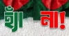 গণভোটে ‘হ্যাঁ’ ভোটের জয়জয়কার: জুলাই সনদের হাত ধরে আসছে নতুন সংবিধান! 