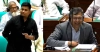 সংসদে হাসির রোল: হাসনাত আবদুল্লাহর বয়স শুনে প্রাণখুলে হাসলেন স্বরাষ্ট্রমন্ত্রী