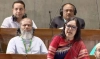 মনোনয়ন না দেওয়ায় বিএনপিকে ধন্যবাদ জানালেন রুমিন ফারহানা