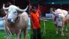ডোনাল্ড ট্রাম্পের পর এবার নেতানিয়াহু: নারায়ণগঞ্জের খামারে দর্শনার্থীদের ভিড়