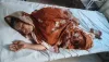কালিগঞ্জে বৃদ্ধাকে মারধর ও জমি জবরদখলের চেষ্টার অভিযোগ