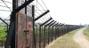 সাতক্ষীরার বসন্তপুর সীমান্তে বিএসএফের গুলিতে দুই বাংলাদেশি গুরুতর আহত