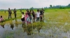  বিজিবি-বিএসএফের মুখোমুখি অবস্থান; সীমান্তজুড়ে ৩ দিন ধরে ধুঁকছে মানবতা
